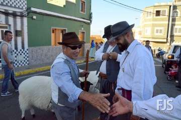 Alegre y participativa romería en El Ejido (Foto FJ Santana y TF)